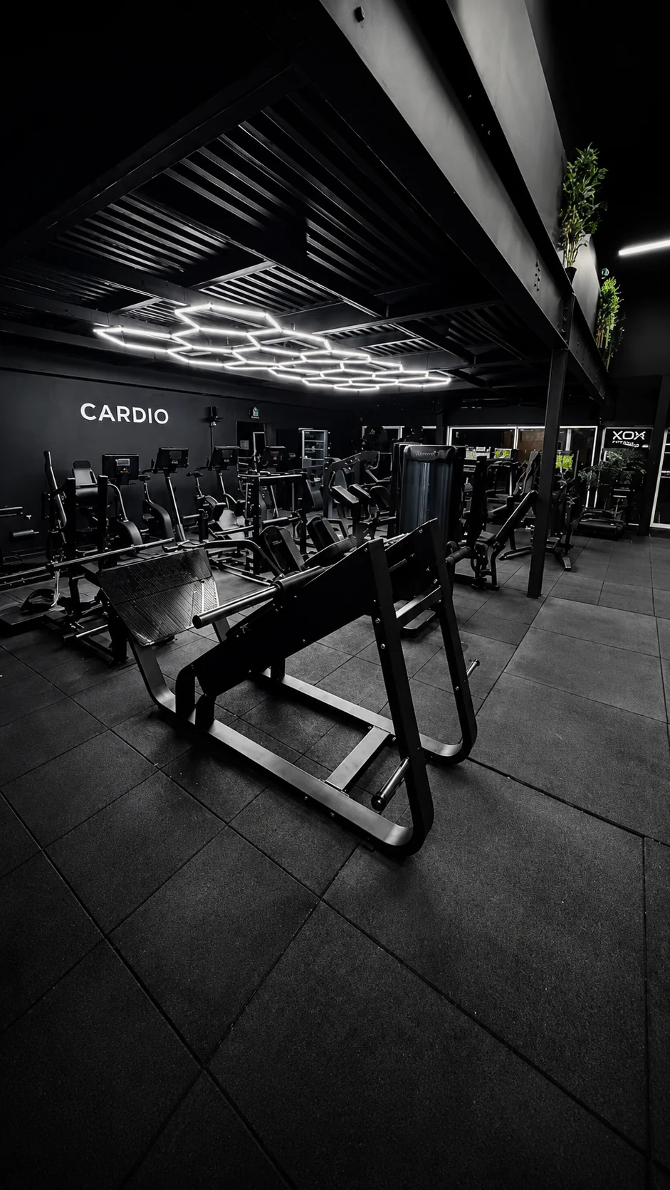 Espace Cardio / Jambes NOX Fitness La Queue-en-Brie
